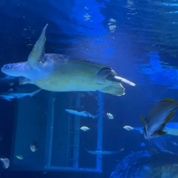 Screenshot 2023-01-30 at 15-17-13