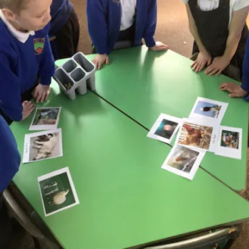 844EFEE9-76DC-4479-80CF-BB468E0A49E1