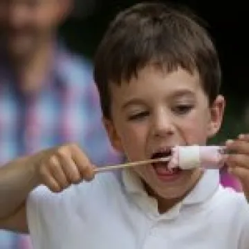 Roasted Marshmallows