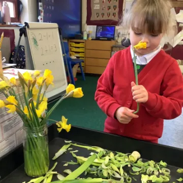 DA476250-6897-433F-9221-AF09A618609D