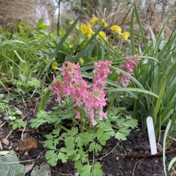 39C028B4-F0D0-4F8F-AE93-B3095E74A734