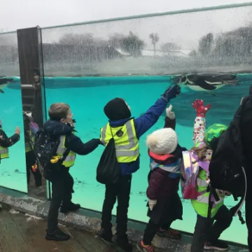 352E4F92-325B-4D87-B287-5C4187E670D9