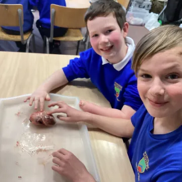 4B40AE86-E764-4E22-9127-37C695014B45