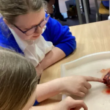 90E6BDDA-3349-44A1-9FBC-4E41CFEAAA92