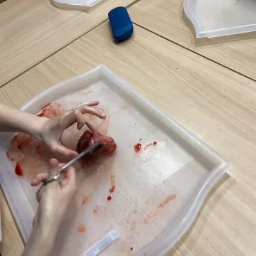 76F88E2C-C1BC-47FA-8CD2-FC660435D265