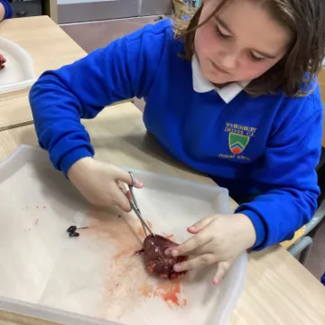 130BECE6-694D-4F1A-8070-7E7D189AAC88