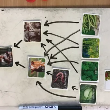 12FAF74E-F160-4809-9857-63C0E227F649