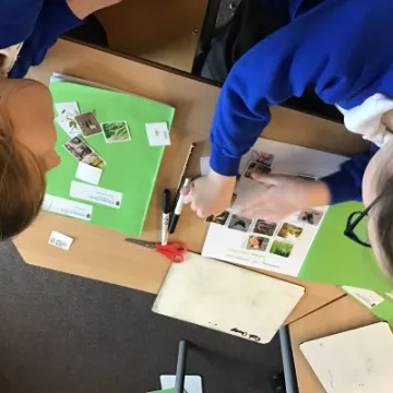 0C8D686E-994C-4D0D-9FFD-CA0B3D1AD4A5