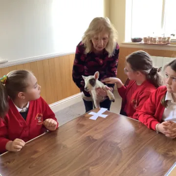 3734E961-A7BB-4F7B-ADA4-B41C33DEFE87