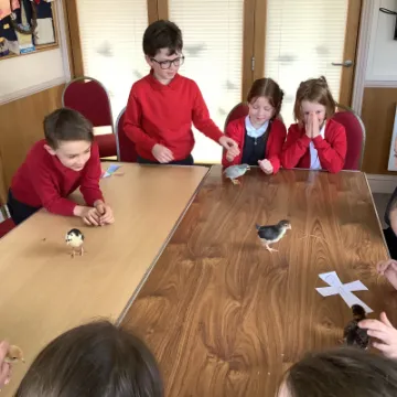 E9F54DAA-AFCA-48D3-934B-D79F9078E9BA