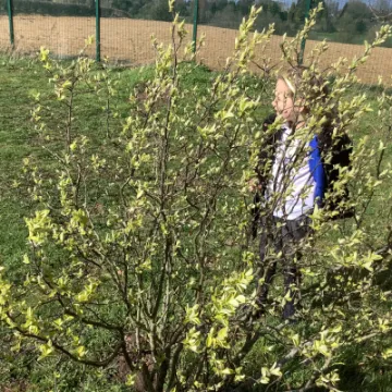 6FDB7DB2-289C-40C5-821F-88DE9E650EB0