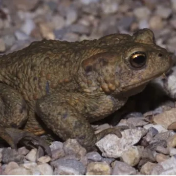 6DDD760A-0BB1-4366-AD04-038A2DCD91DB