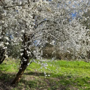 Keith Barker Photos March 2023 2ba660a5 f7d8 454c a403 418085140dcb (1)