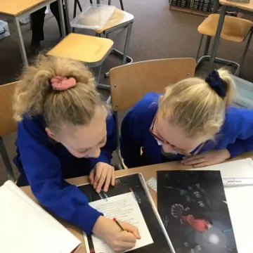 AC380F1C-238A-4F41-A519-CC35C46D5D42