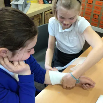 BA7D86B0-9D81-4D73-890F-8FCBC555B3D3