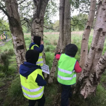 F913AB98-9138-4A26-95F9-028888F1EA9D