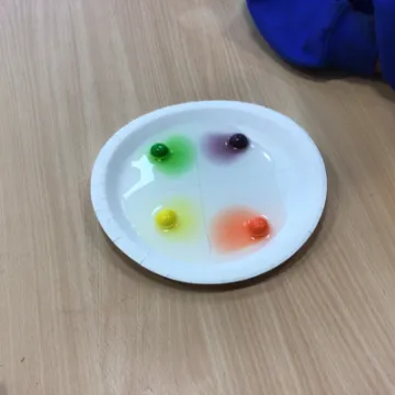 D2193F41-14F7-491E-B018-E3485081D99C