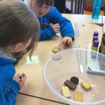 754B1EBD-DA23-40E4-AD0D-C0EA85D24C52