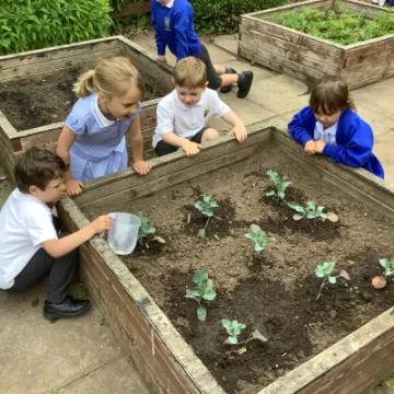 F6634F9A-7105-4F52-B596-86F4D37BAFA5