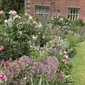 888ED1B8-EA9C-4149-8B15-2FBA53E6E740