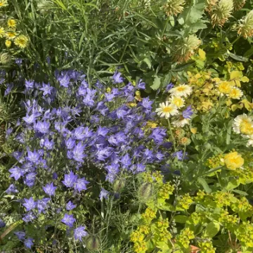 B10532C2-70CD-45CC-B4CB-CF4E96A3DCAE