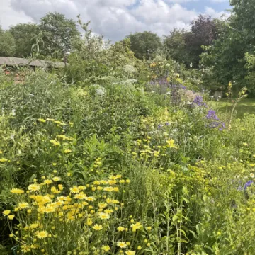 CE37D514-92F5-4D4B-9982-18DAC5219E2A