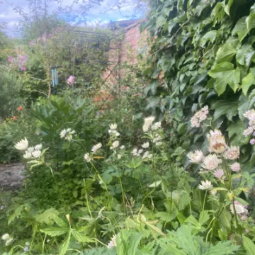 Open Garden Weekend 2