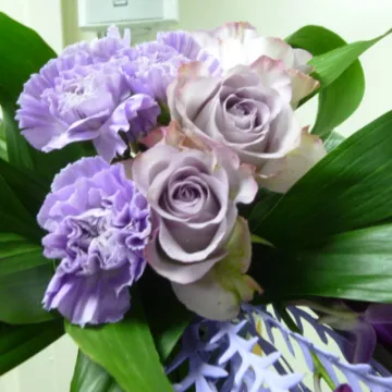 FLower Club July 2023 P1040290 (1)