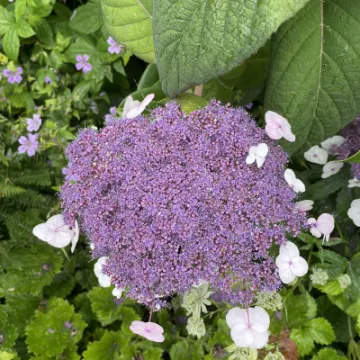 DAB5727F-4DA5-4117-95F7-F84605ED4BD9