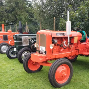 Helen Mayrick &ndash; TP Festival