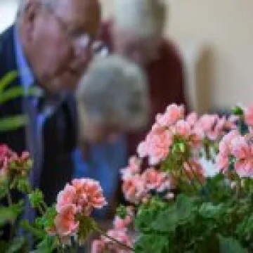 Annual Show 07