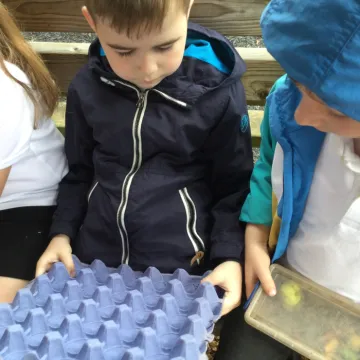 Pearl Forest school 6