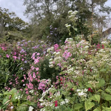 ECDD151C-1A0C-4E7A-A67E-2FE430C200EF