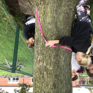 2BE65ABF-A871-4C76-8722-436BA4A38D3A