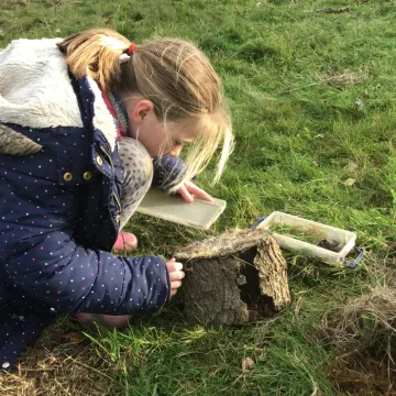 31709A37-7141-4C0A-80EE-8C6D13B630E9