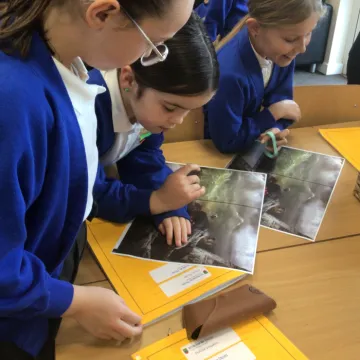 92CD005A-688E-49EB-8F94-1BF1326118D3