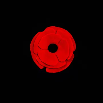 BBREM-1007