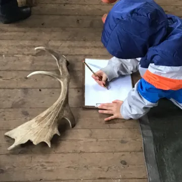 Forest schools