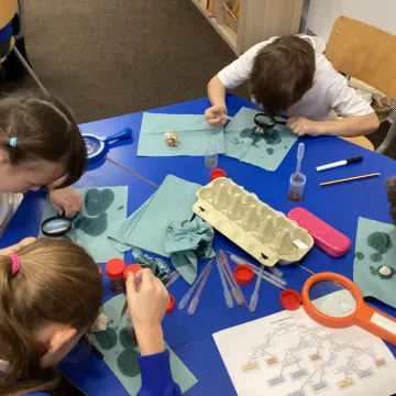 Y3 Science Rocks 3