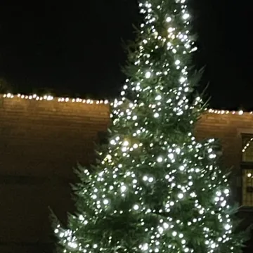 CHRISTMAS LIGHTS
