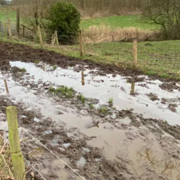 Adderley Footpath