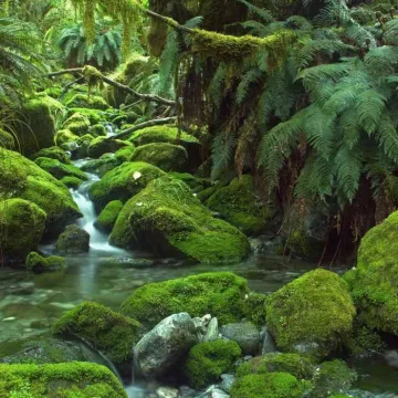 Nz-Ff574d1c30ab43fb81c37df8c6b25813