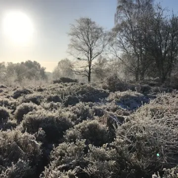 Bickerton Hill