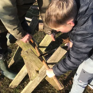 Forest schools