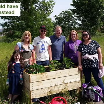 community planter