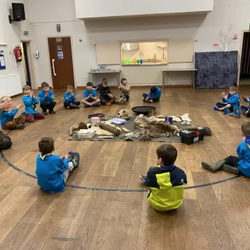 Beavers