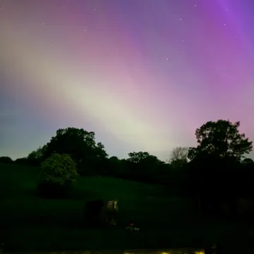 Aurora by Erica Brampton