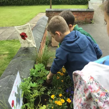 planter5