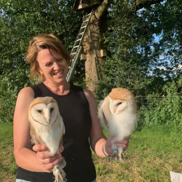 2024 Barn Owl Chicks