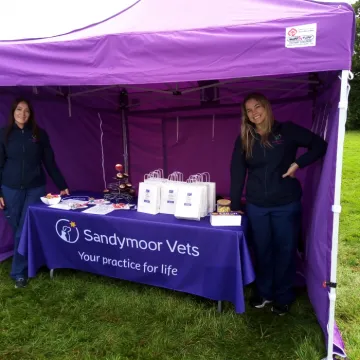 Stall 3